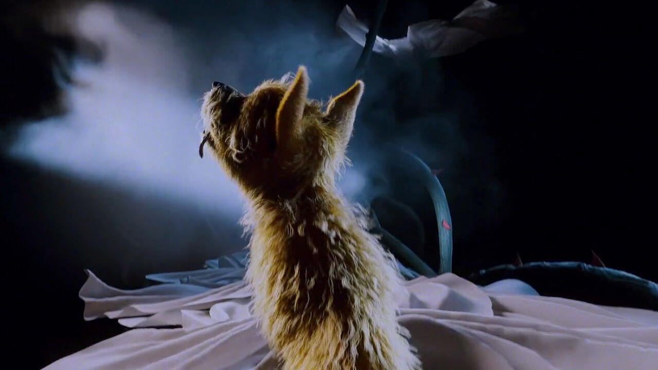 Mac Miller Shapes and Colors