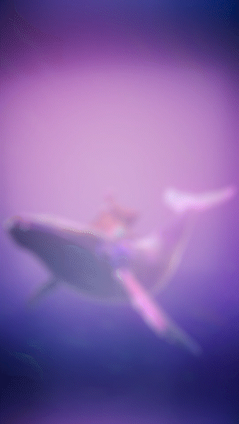 Riding Out the Storm