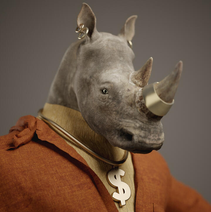 Rhino Close-up